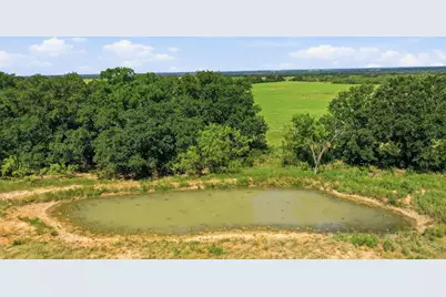 2110 County Road 362, Desdemona, TX 76445 - Photo 8