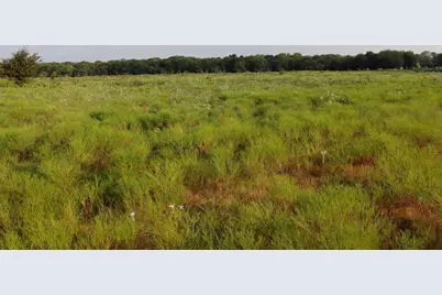 Tbd Lot 1 Alsdorf Road, Ennis, TX 75119 - Photo 14