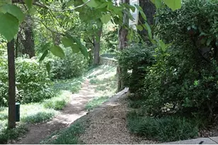 [Address not provided], Dallas, TX 75219 - Photo 36