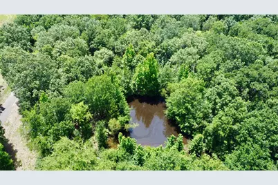 Tract 5 Cr 44400, Powderly, TX 75473 - Photo 4