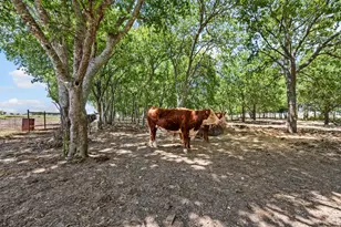 1216 W Rd, Waxahachie, TX 75165 - Photo 28