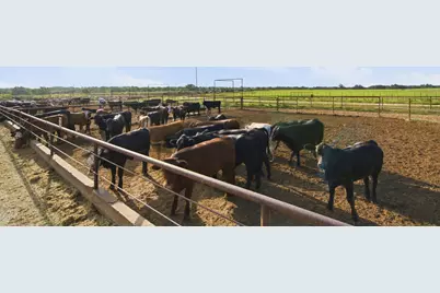 2580 Fm 847, Stephenville, TX 76401 - Photo 20