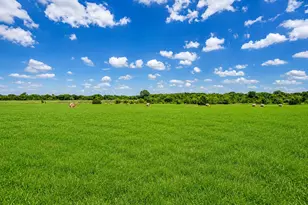 548 Hill County Road 4149, Grandview, TX 76050 - Photo 14