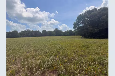 5767 Fm 2339, Murchison, TX 75778 - Photo 12