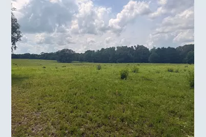 5767 Fm 2339, Murchison, TX 75778 - Photo 20