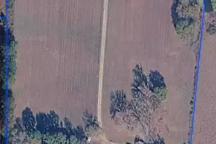 3952 FM451, Waskom, TX 75692 - Photo 30