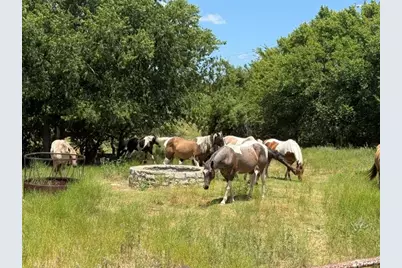 10723 County Road 539, Hico, TX 76457 - Photo 14