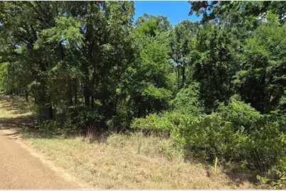 0 Hickory Street #Lot 90, Mabank, TX 75156 - Photo 1