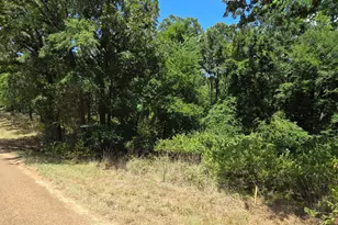 0 Hickory St, Mabank, TX 75156 - Photo 1