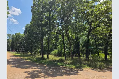 2205 Hickory Street, Mabank, TX 75156 - Photo 4