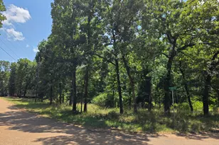 2205 Hickory St, Mabank, TX 75156 - Photo 4