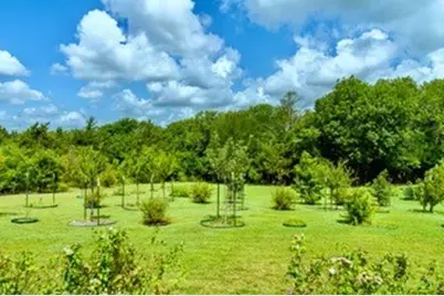 919 Harrell Road, Howe, TX 75459 - Photo 38