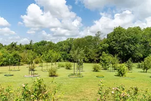 919 Harrell Rd, Howe, TX 75459 - Photo 38