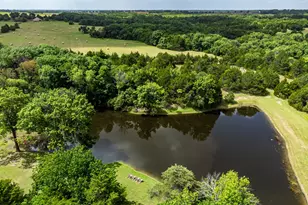 919 Harrell Rd, Howe, TX 75459 - Photo 10