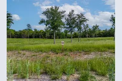 398 Timberland Heights, Windom, TX 75492 - Photo 6