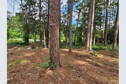 Tbd Green Meadow Trail, Holly Lake Ranch, TX 75765 - Photo 10