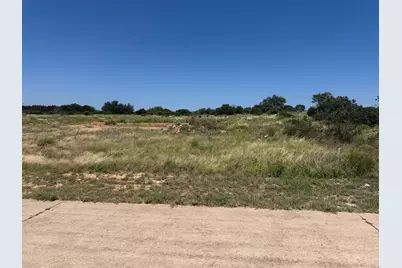 217R Oak Tree Dr, Graford, TX 76449 - Photo 2