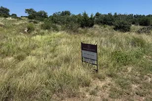 217R Oak Tree Dr, Graford, TX 76449 - Photo 1
