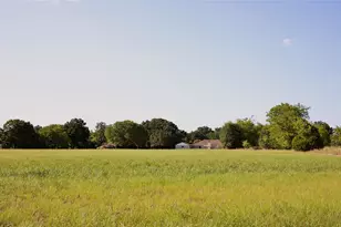 871 Vz County Rd 2602, Wills Point, TX 75169 - Photo 8