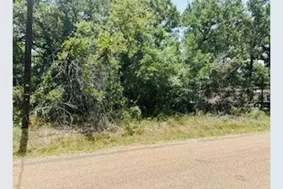 0 Albany Drive, Mabank, TX 75156 - Photo 2