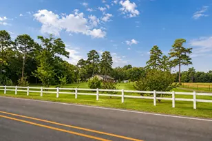10038 County Road 313, Tyler, TX 75706 - Photo 2