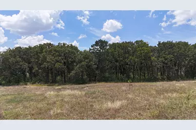 Lot 7 NE County Road 3040, Kerens, TX 75144 - Photo 10
