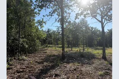 Tbd Fm 56, Morgan, TX 76671 - Photo 12