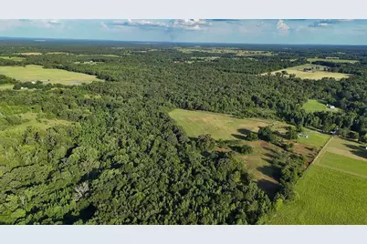 753 County Road 4390, Winnsboro, TX 75494 - Photo 6
