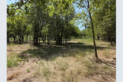 Lot 5-R4 SW County Road, Corsicana, TX 75110 - Photo 10
