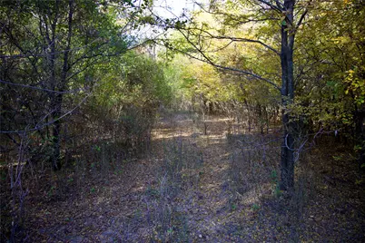 Tbd 80+/- Acres Cr-4421, Rhome, TX 76078 - Photo 18