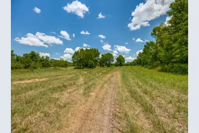Tbd County Road 1110, Celeste, TX 75423 - Photo 10