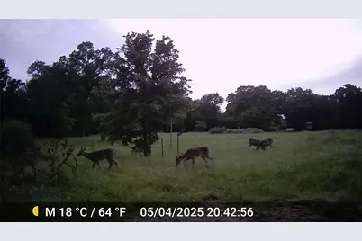 1309 County Road 1895, Sunset, TX 76270 - Photo 38