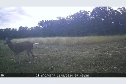 1309 County Road 1895, Sunset, TX 76270 - Photo 14