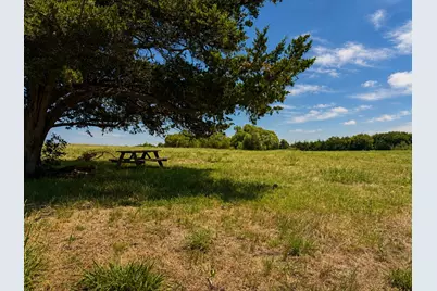 Tract C2-1 County Road 1140, Celeste, TX 75423 - Photo 4