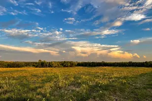 Tract C2-1 County Road 1140, Celeste, TX 75423 - Photo 1