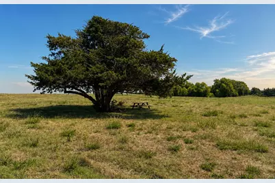 Tract C2-1 County Road 1140, Celeste, TX 75423 - Photo 8