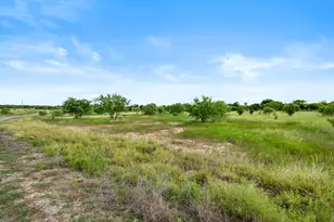 Lot 17 Brazos Valley Rd, Mineral Wells, TX 76067 - Photo 1