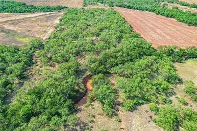 1195 County Road 415, Merkel, TX 79536 - Photo 40