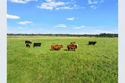 729 Hcr 2224 E, Aquilla, TX 76622 - Photo 34
