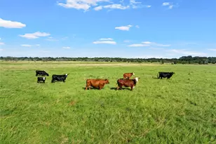729 Hcr 2224 E, Aquilla, TX 76622 - Photo 34
