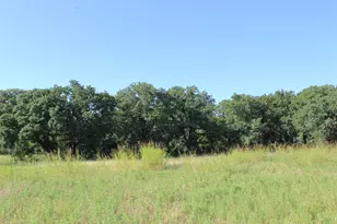 9296 Fm 1810, Chico, TX 76431 - Photo 26