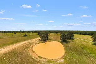 7212 County Rd 2761, Buffalo, TX 75831 - Photo 22