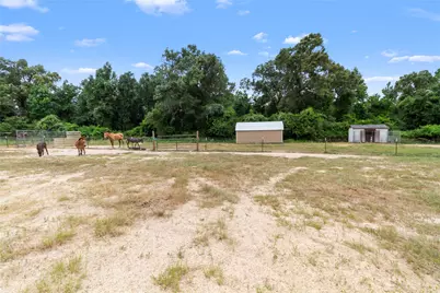 7212 County Road 2761, Buffalo, TX 75831 - Photo 32