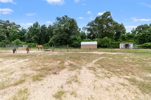 7212 County Rd 2761, Buffalo, TX 75831 - Photo 32