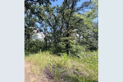 903 Vz County Road 1524, Grand Saline, TX 75140 - Photo 2