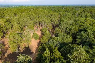 3350 Fm 1256, Eustace, TX 75124 - Photo 32
