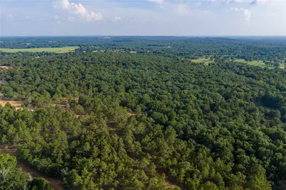 3350 Fm 1256, Eustace, TX 75124 - Photo 20