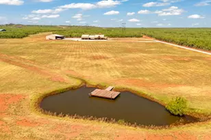298 Co Rd 499, Abilene, TX 79601 - Photo 40
