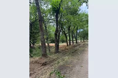 Lot 4 County Road 3562, Dike, TX 75437 - Photo 4