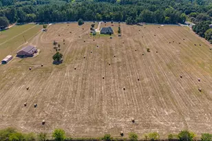 17555 County Rd 1108, Flint, TX 75762 - Photo 38